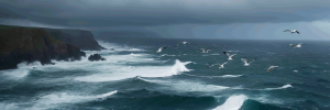 6aa120cb1c6482026-09-09_00-45-45_3269.png